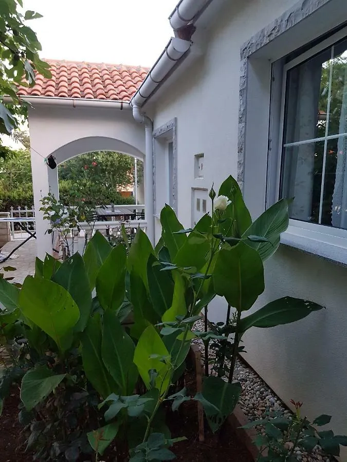 Apartments Marijeta Vir